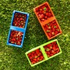 KADAX Plastic Harvest Basket, 40 x 18 x 11.5 cm,
