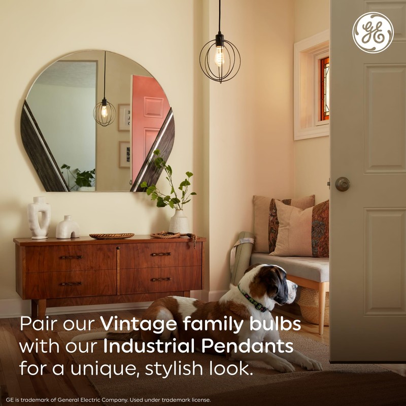 GE Vintage Style LED Light Bulb, 60 Watt, Amber Finish,