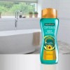Palmolive Shampoo Palmolive Optims Con Semilla De Girasol 1 L