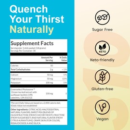 310 Lemonade Pineapple Mango - Water Enhancer Sugar Free - Powdered Drink Mixes & Flavorings with Alkalizing Minerals - Water Flavor Packets for Energy & Hydration - 30 Single Servings To Go