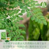 Moringa Tea Simple Tea Bags, Additive-Free, Natural, Caffeine Free, 135