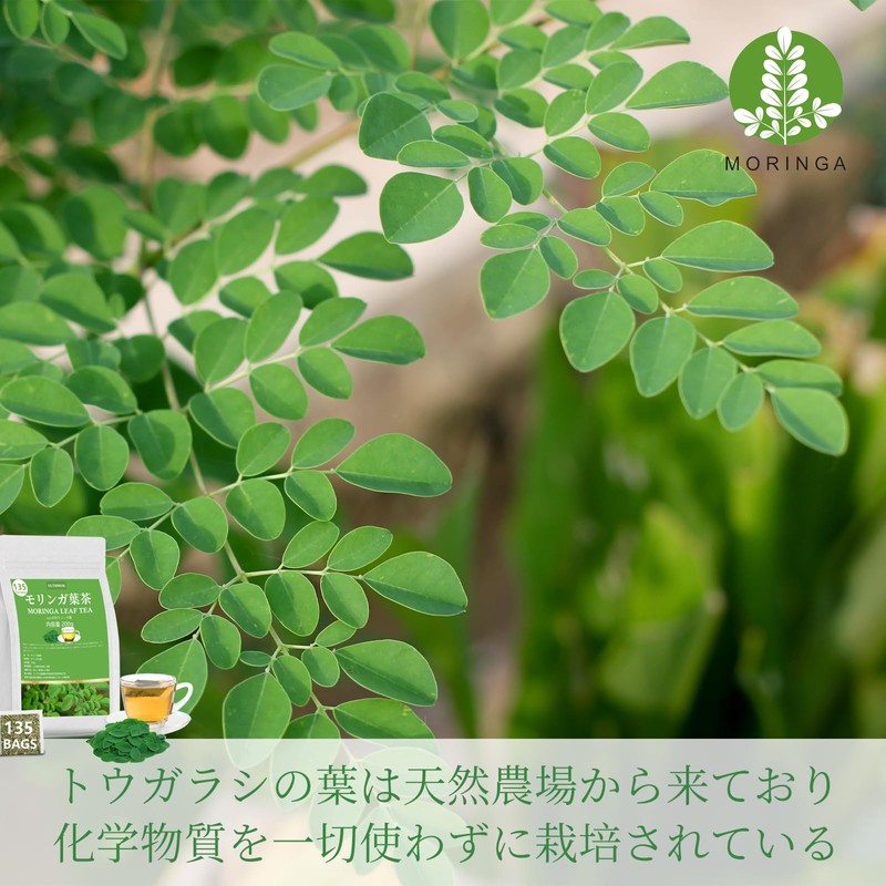 Moringa Tea Simple Tea Bags, Additive-Free, Natural, Caffeine Free, 135