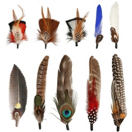 Cosswe 10Pcs Hat Feathers, Natural Feathers Peacock Feathers for Hats,Assorted Feathers for Hats Colorful Real Feathers Accessories for Men Women,Feathers Accessories DIY Decorations