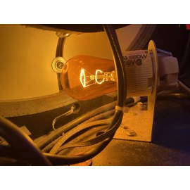 Rock-Ola Rockola Orange Bulb - Wurlitzer OEM Bulb 1X Rock-Ola Jukebox