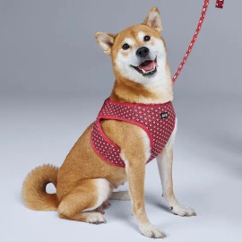 BYC Pet Supply for dogs, cats and daily pet care, pet care accessory or treat, BYC Korean Import, Pet Care Essential, pet care, Option 3