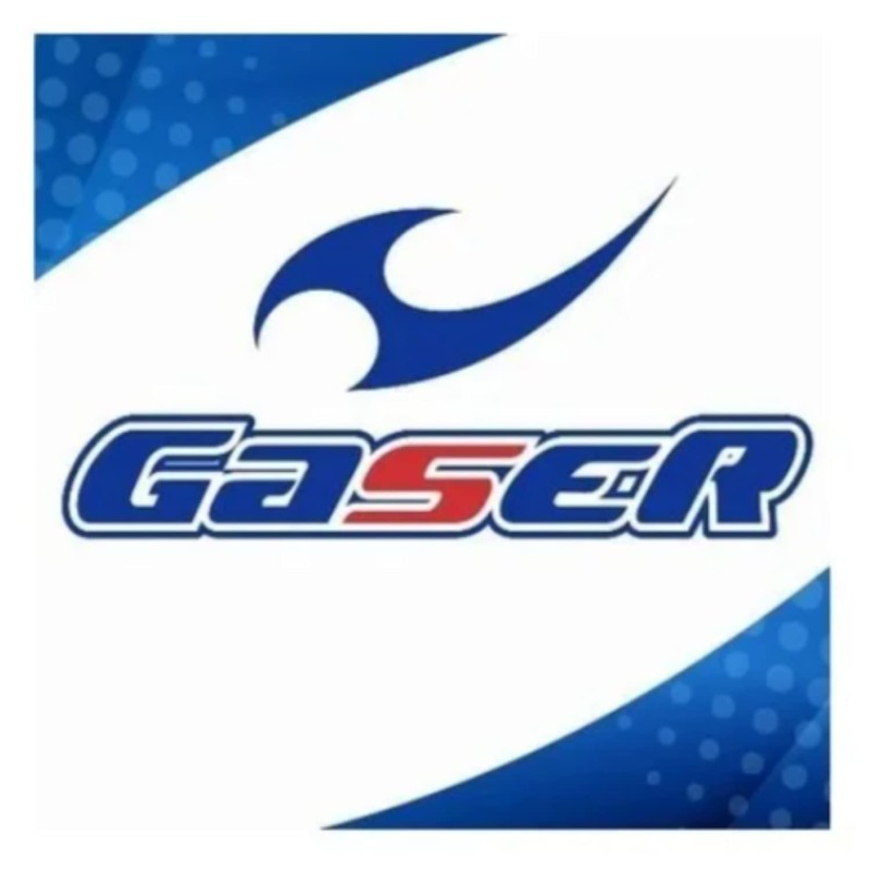 Gaser Original 5 MAX Pro 5000 Volleyball Ball (Red/White/Green)