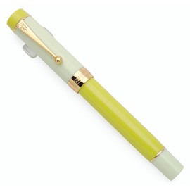 JINHAO 100 Fountain Pen with Ink Converter (Medium Nib 0.7mm, Green Lemon)