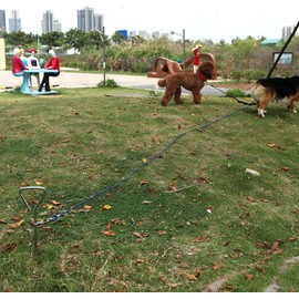 33ft (10m) Dog Tie Out Cable with 18Inch Spiral Ground Stake Spike Out for Outdoor Yard and Camping Small to Medium Dogs