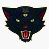 Tarot Hellcat Waterproof Vinyl Window Bumper Sticker Decal 5"