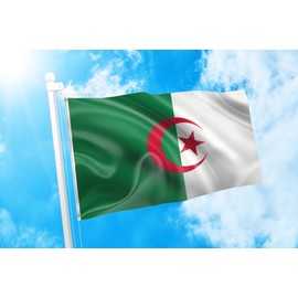 DMSE Algeria Algerian Arabic National Flag 2X3 Ft Foot 100% Polyester 100D Flag UV Resistant (2' X 3' Ft Foot)
