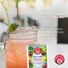 Pompadour, Tisana Fredda Sgonfia e Drena, 54 Filtri (3 Confezioni