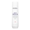 Goldwell Dualsenses Just Smooth Taming Shampoo 300ml