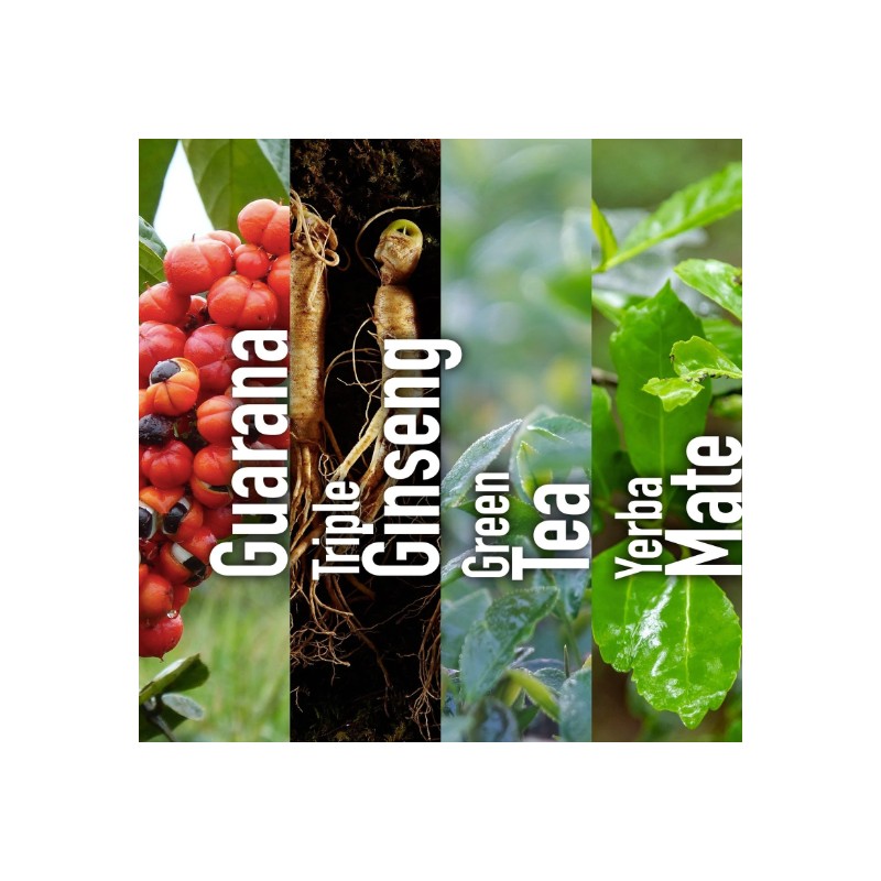 Hi-EnerG Triple Ginseng Energy Supplement, 500 mg, 20 servings