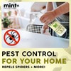 Mint+ Spider Repellent Spray, Spider Spray for Indoor & Outdoor