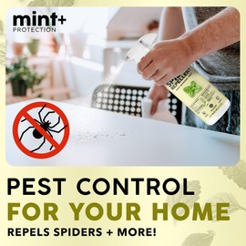 Mint+ Spider Repellent Spray, Spider Spray for Indoor & Outdoor Use, 16 oz (475mL)