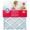 True Blue Allergen 20x25x1 Air Filter , MERV 11, 4-Pack