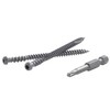 TrapEase 3 Deck Screw 2-1/2" (350) Screws (Rope Swing/Honey Grove)