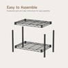 Golpart Small 2 Tier Shelves Storage Wire Shelving Unit Metal