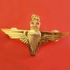 Reproduction WW2 BRITISH PARATROOPER PARACHUTE REGIMENT CAP BADGE PIN GOLDEN,
