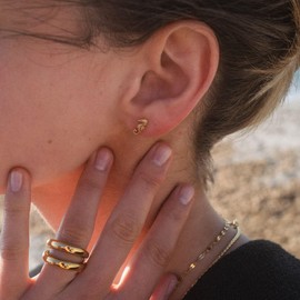 PURELEI® Seahorse Earrings (Gold, Silver, Rose Gold), Waterproof Women's Earrings, Seahorse Stud Earrings, Stainless Steel, Gift for Women, Stainless Steel, No Gemstone