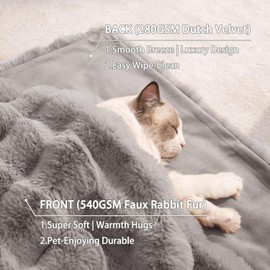 Cat Blanket for Indoor Cats Ultra Soft Plush Faux Fur Kitten Blankets Machine Washable Reversible Pet Throw Protector for Couch Furniture 21"X 18" Grey