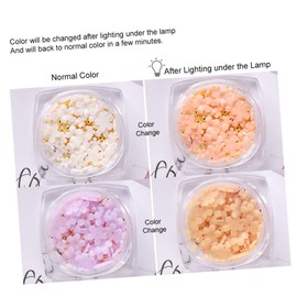 BIUDECO Diy Manicure Kit Boxes of Resin Nail Flowers Changing Small Steel Balls for Nail Jewelry Decorations