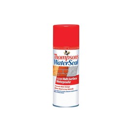 Thompson's Waterseal Clear Water-Based Multi-Surface Waterproofer 12 Oz. - Case of: 1