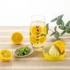 Sunart Funny Dinnerware Lemon Sour Glass with Squeezer SAN3875 Yellow