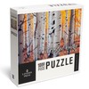 Lantern Press Crested Butte, Colorado, Photography, Aspen Trees, Fall Colors
