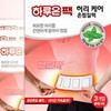 Haruon Waist Care Warm Pack (3 pieces) 1