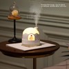 Small Humidifier 350ml Desktop Humidifier Snow House Warm Light USB