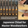 RANSHOU Japanese Chisel 9mm 3/8" Mortise Chisel Oire Nomi, Professional