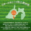 Arahataen Deep Mushi Tea Pack, Green Tea, Tea Bag, Deep