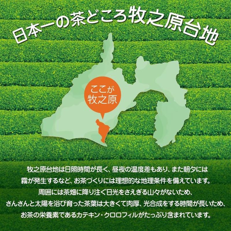 Arahataen Deep Mushi Tea Pack, Green Tea, Tea Bag, Deep