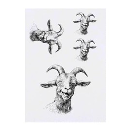 Azeeda 4 x 'Lachende Ziege' Temporäre Tattoos - Wasserfest, Hautfreundlich & Ungiftig · Transfers in Verschiedenen Größen (TO00076998)