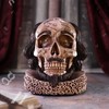 Nemesis Now Shakespeare's Legacy 16cm, Resin, Shakespeare Skull Figurine, Inspired