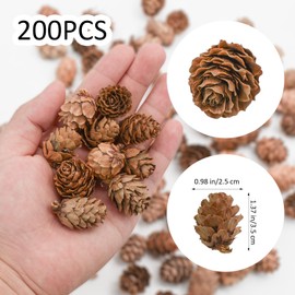Bacucine Natural Pine Cones 200pcs Christmas Dried Flowers Dried Pine Cones Mini Pine Cone Christmas Tree Ornament Approx. L2.5~3.5cm Decoration Processed Present