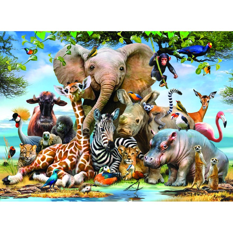 Anatolian 1000 Africa Smile