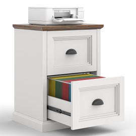 Halitaa Vertical File Cabinet with 2 Drawers for Home Office, White