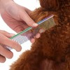 Pet Hair Scissors Professional Stainless Steel Trimming Colorful Safety Pet