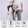 Dog Lifting Strap, Dogs Lift Harness, Adjustable Full Body Dog