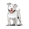 3.5" White Pit Bull Terrier Dog Sticker - Pitbull Vinyl