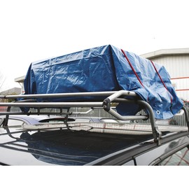 Sealey BCS22 Bungee Cord Set 2pc 760mm