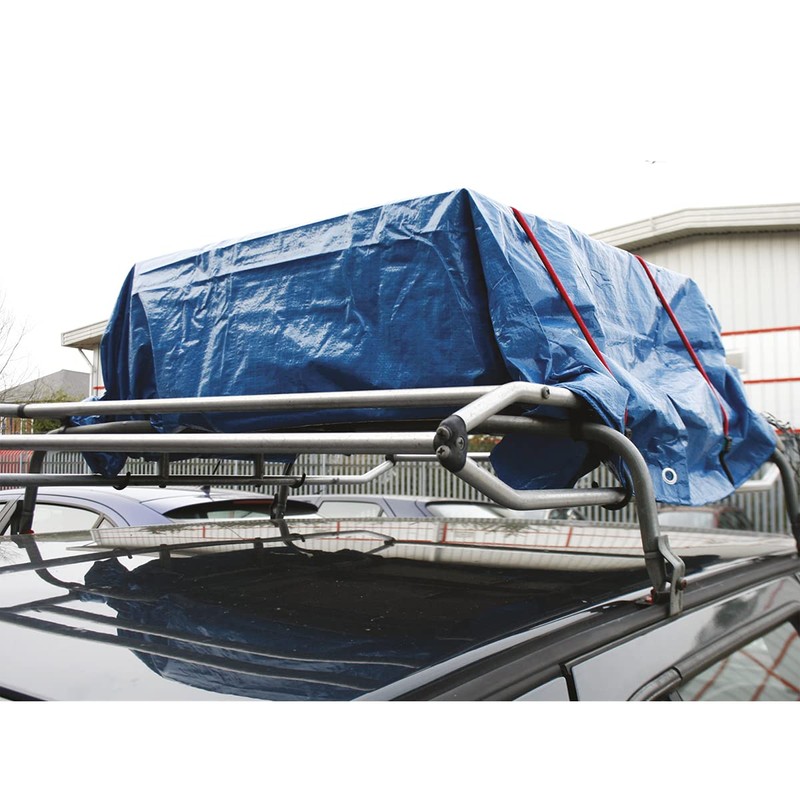 Sealey BCS22 Bungee Cord Set 2pc 760mm