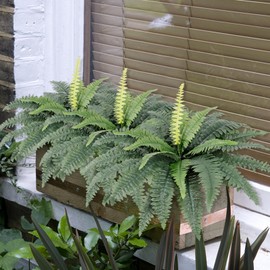 SOMYTING Artificial Ferns for Outdoors, Set of 2 Bouquets 30" Large Fake Ferns Faux Boston Fern Fake Plants UV Resistant Faux Plant Shrubs Bush Plant for Home Office Garden Porch Farmhouse Decor