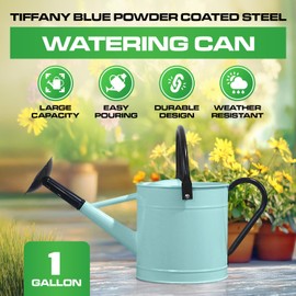 Plexon 1 Gallon Watering Can Metal, Tiffany Blue Garden Watering Can Outdoor, Indoor Metal Watering Can, Large Gardening Watering Pot, Black Galvanized Steel Handles and Removable Spray Spout