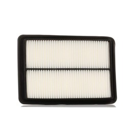 STARK SKAF-0060463 Engine Air Filter Recirculation Filter