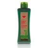 Salerm Biokera Hair Regenerating Shampoo 300ml by biokera