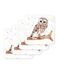 Coaster Owl British Wildlife Hand Painted Animals Coasters Watercolour Art