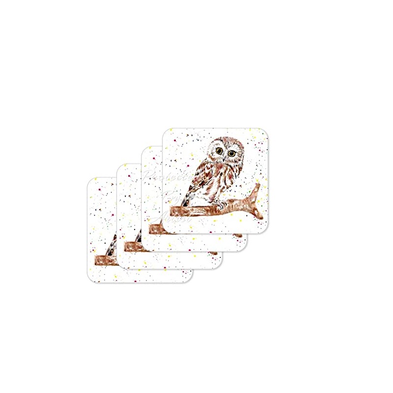 Coaster Owl British Wildlife Hand Painted Animals Coasters Watercolour Art